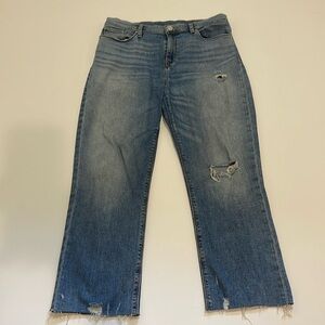 Hudson Nico Straight Jeans